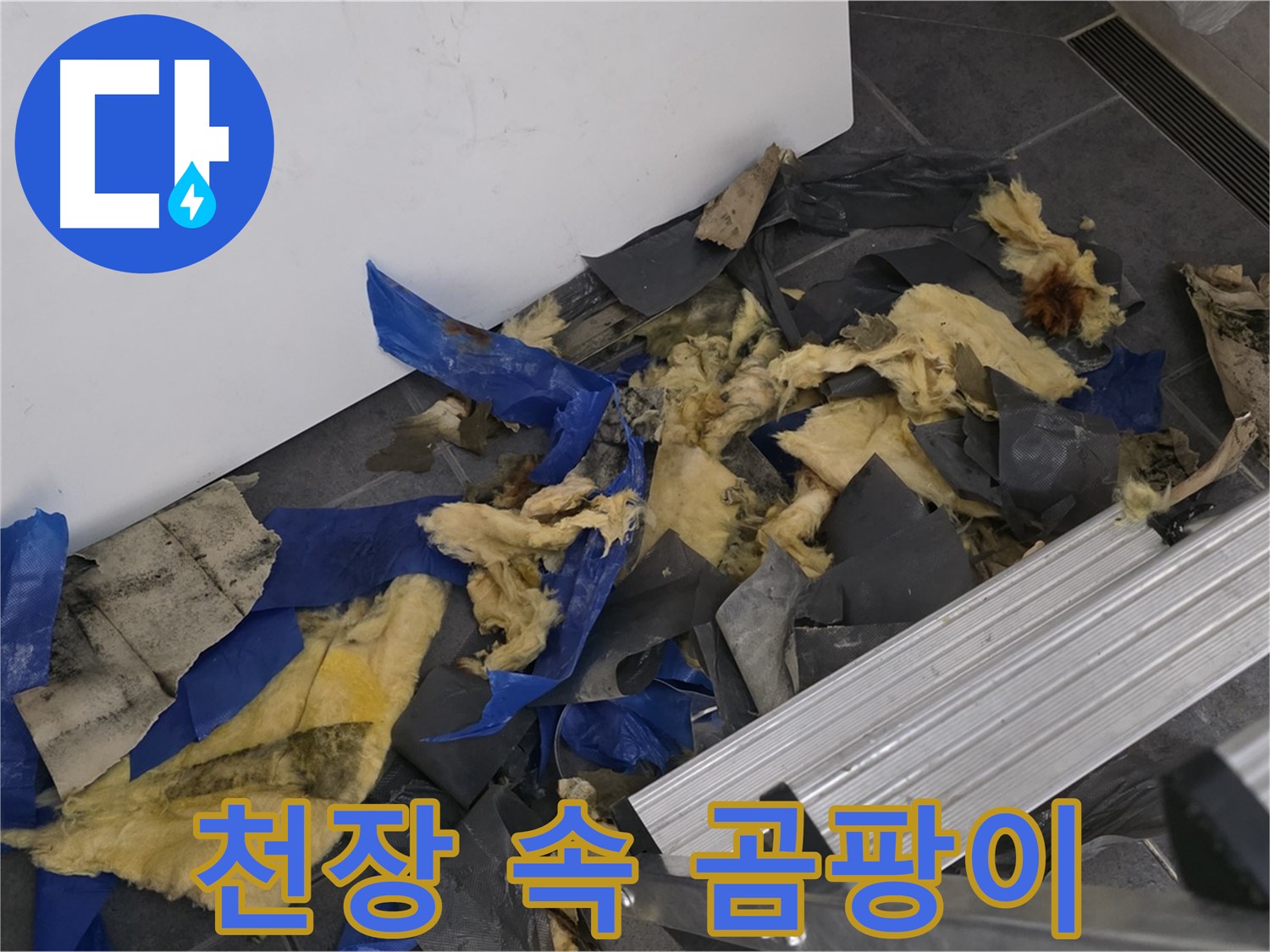 중계동 라이프청구신동아 아파트 - 천장 속 곰팡이 확인 및 건강 위협
