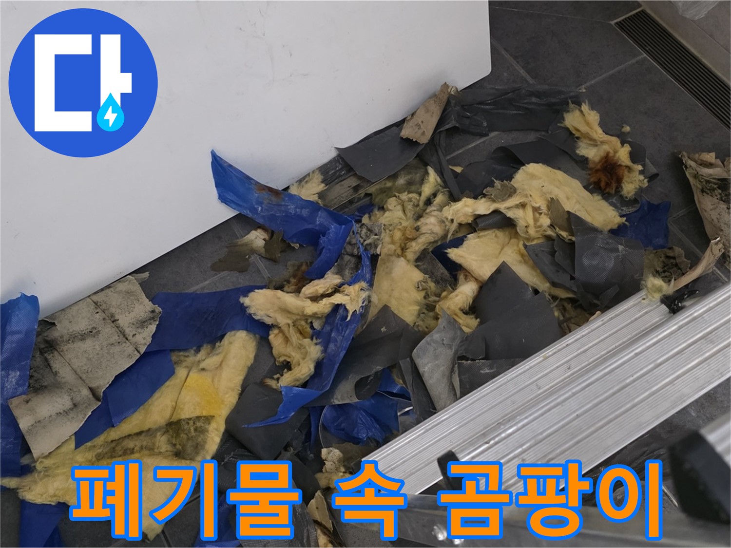 중계동 라이프청구신동아 아파트 - 폐기물 속 숨겨진 곰팡이 발견 - 건강 위협