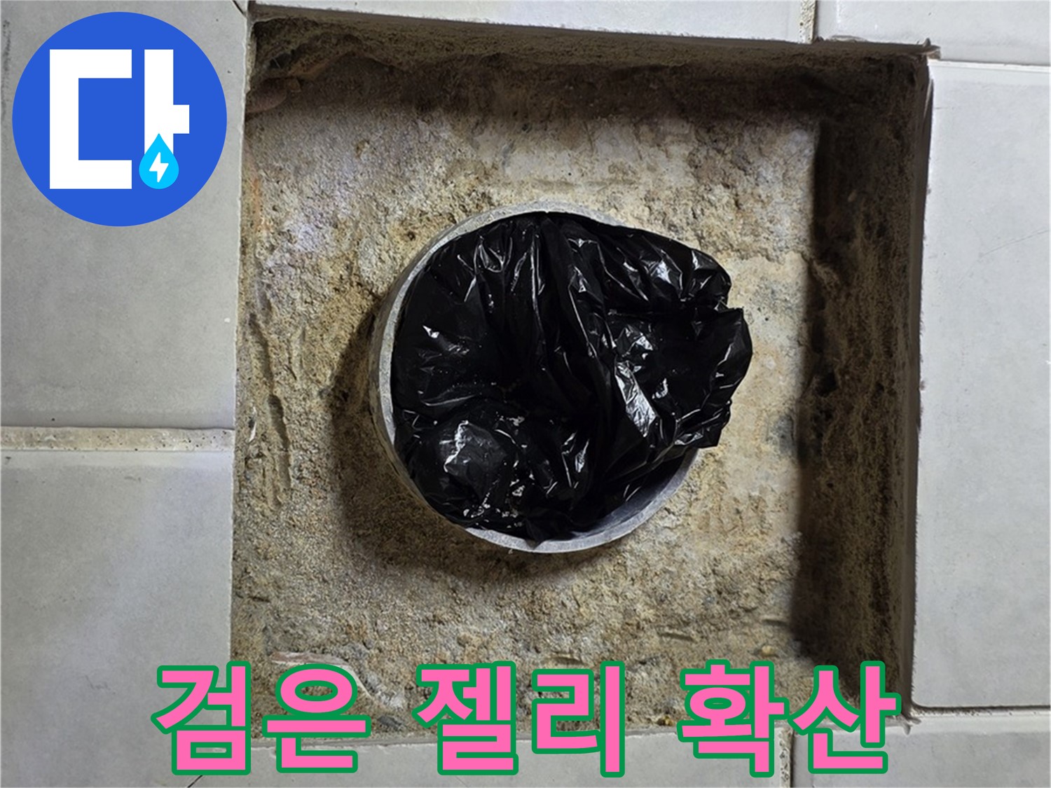 과천 누수 - 욕실 하수구 검은 젤리의 습격, 누수 공포 확산