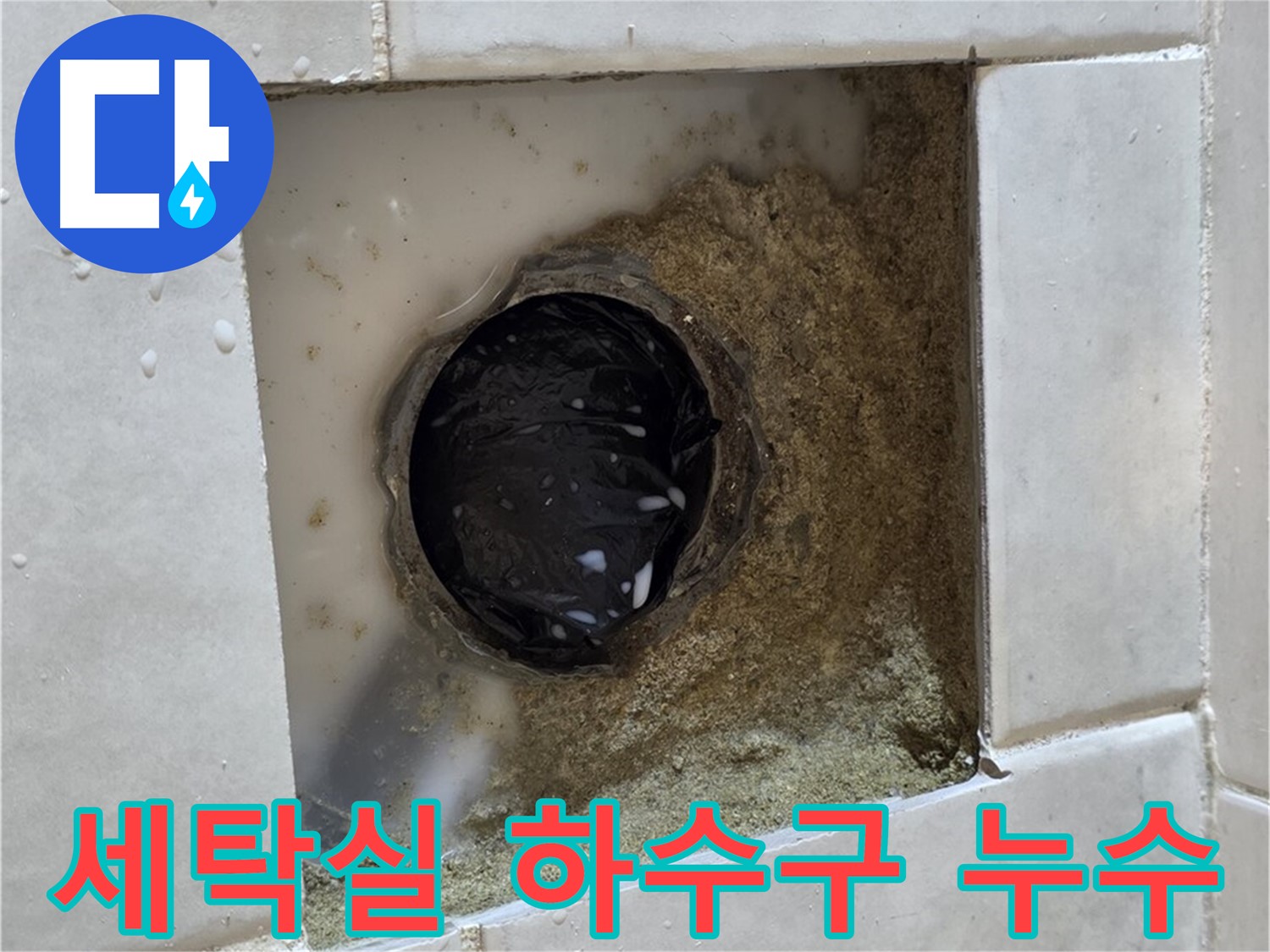 과천 문원동 세탁실 하수구 누수 - 젖어있는 하수구 주변, 꼼꼼한 시공으로 완벽 해결