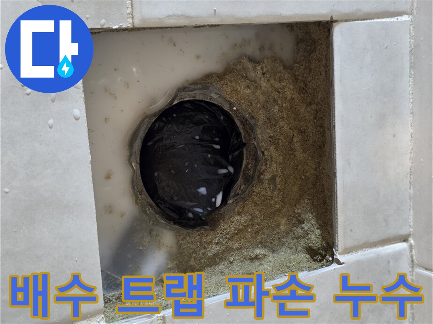 과천 문원동 욕실 하수구 주변 배수 트랩 파손 누수 - 깨진 배수 트랩, 새 트랩으로 완벽하게 교체하고 해결