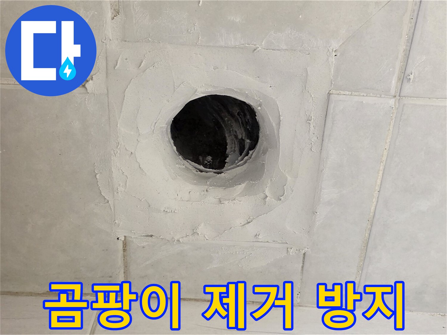 문원동 누수 - 배수구 주변 곰팡이 제거 및 방지 시공, 쾌적한 욕실 환경을 만들어 드립니다.