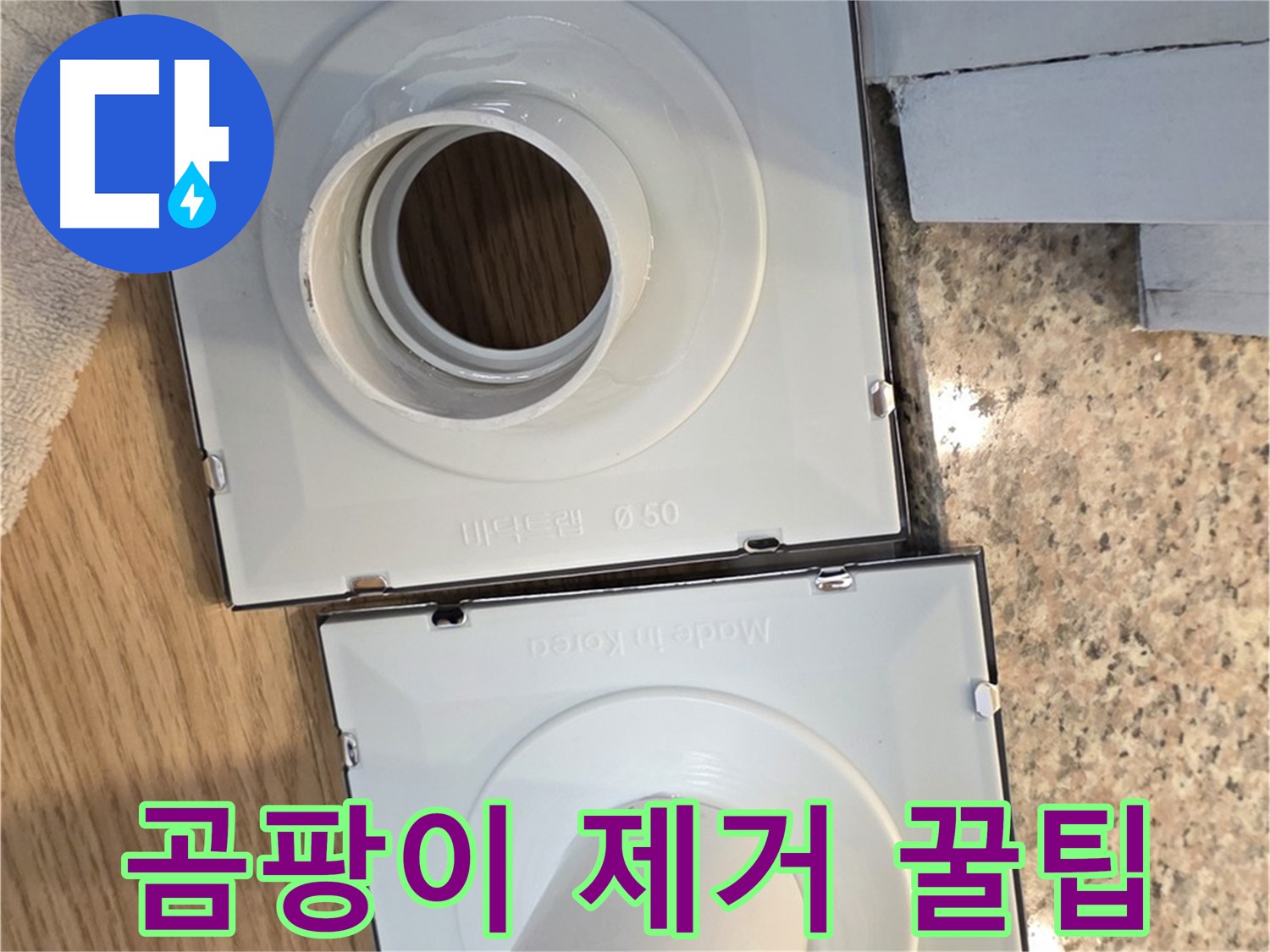 배수구 주변 곰팡이 완벽 제거 및 예방