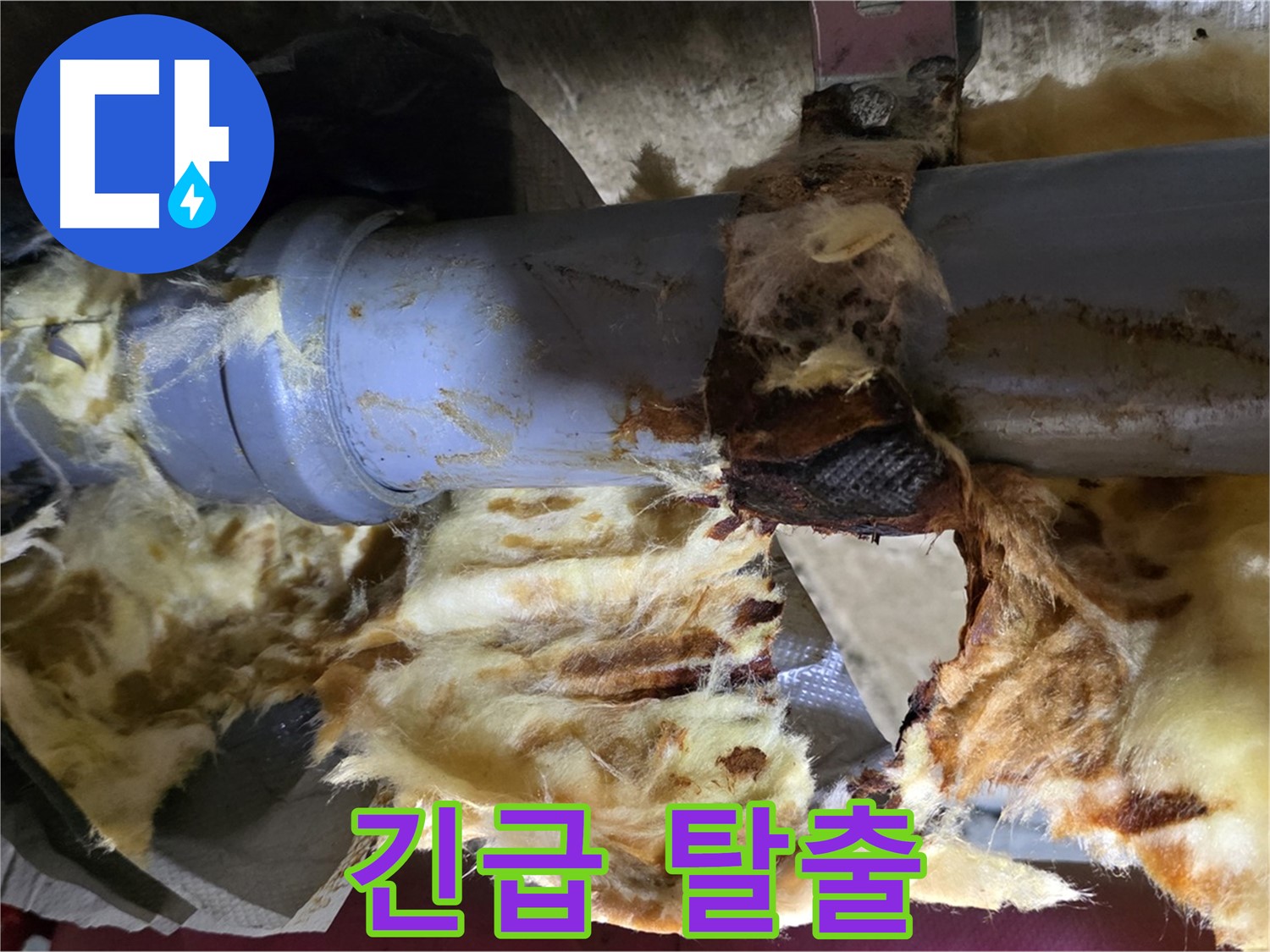 남양주 두산아파트 누수 - 배관 누수로 인해 젖은 단열재에 곰팡이가 슬어 곰팡이 포자가 확산되어 건강 위험! 긴급 탈출이 필요합니다.