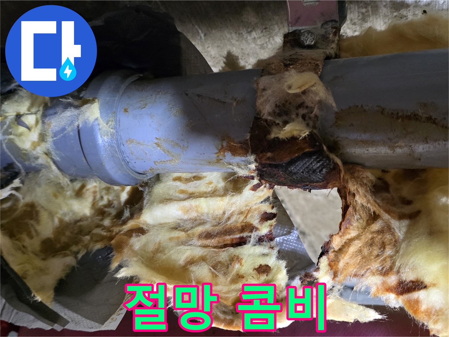 남양주 화도읍 두산아파트 누수 - 낡은 배관에서 누수가 발생하고 곰팡이가 피어난 절망적인 콤비 현장입니다.