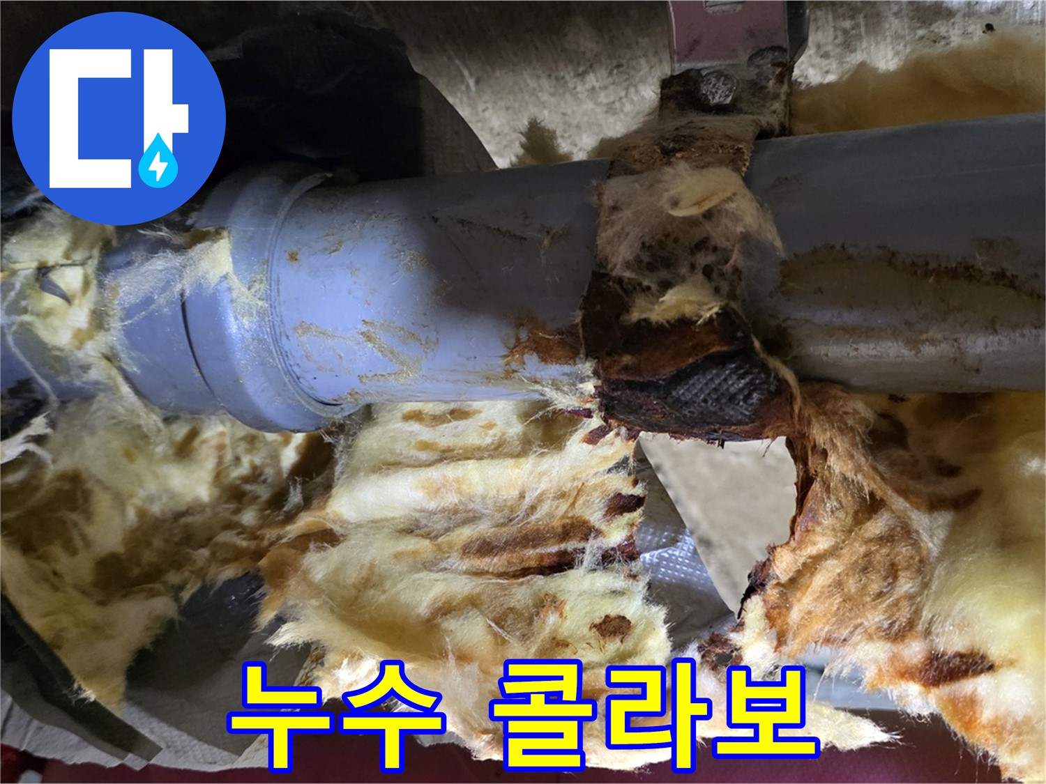 남양주 화도읍 두산아파트 누수 - 낡은 배관에서 누수가 발생하고 곰팡이가 피어난 콜라보 현장입니다.