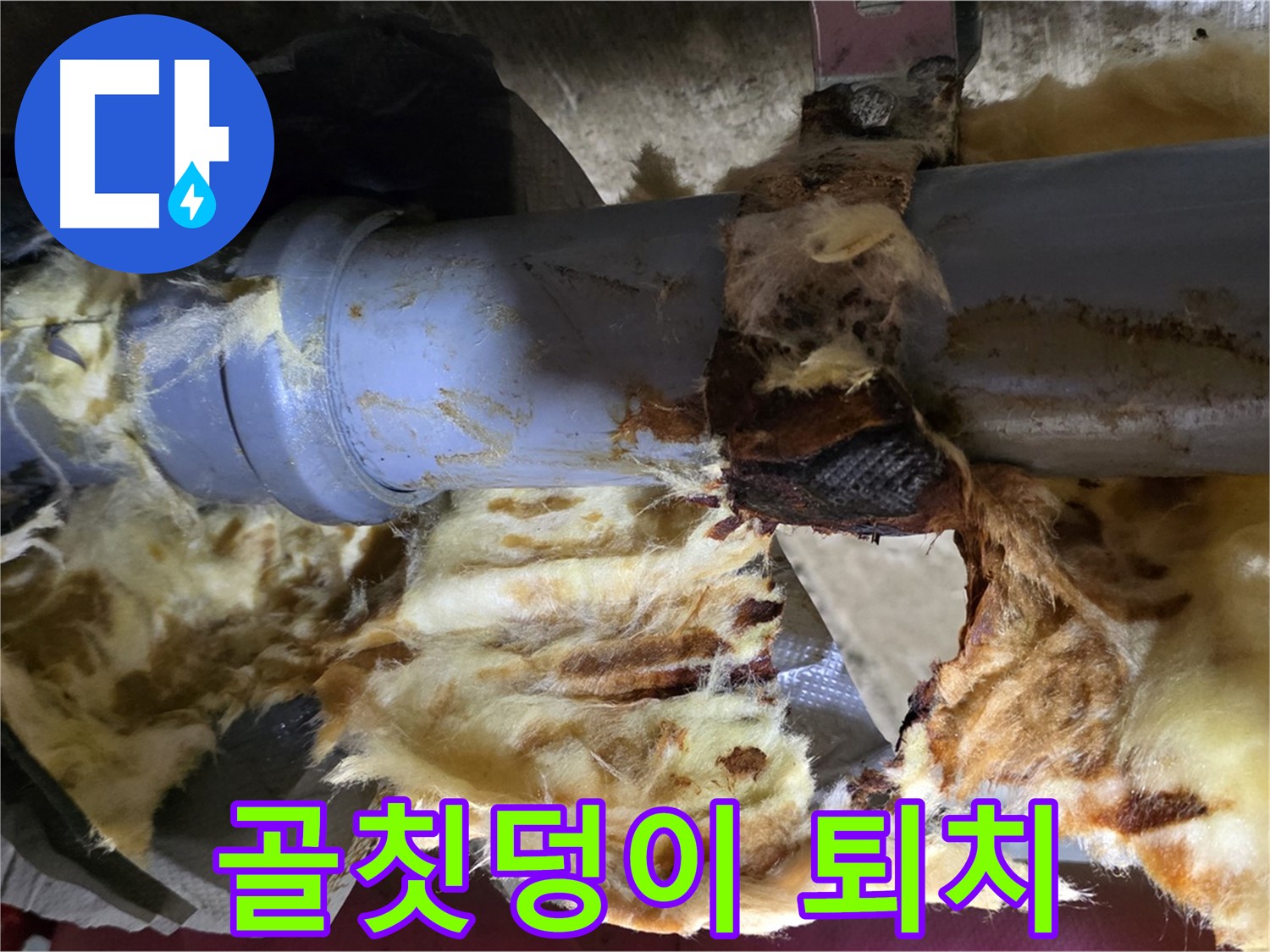 두산아파트 누수 - 낡은 배관, 곰팡이, 젖은 단열재 3가지 골칫덩이를 완전 퇴치했습니다.