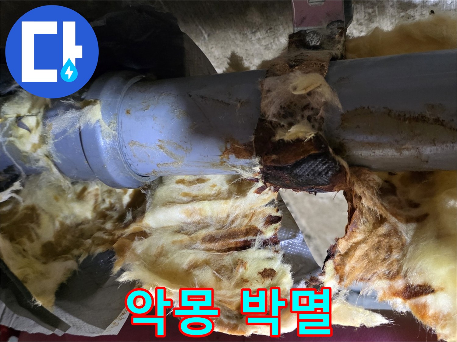두산아파트 누수 - 낡은 배관, 곰팡이, 젖은 단열재 3가지 악몽 같은 문제를 완전 박멸했습니다.