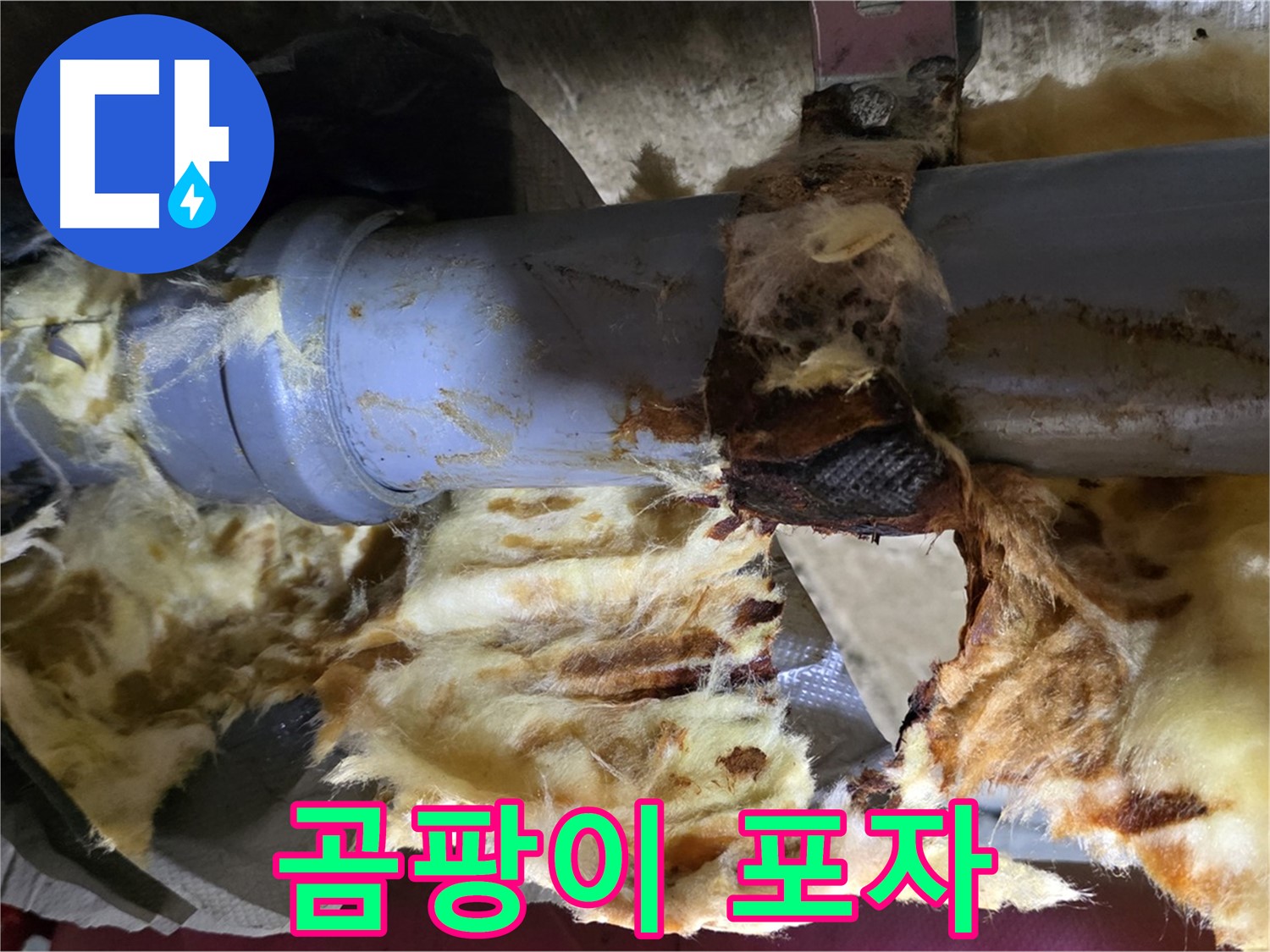 두산아파트 누수 - 젖은 단열재에 곰팡이가 슬어 포자가 확산될 우려가 있습니다.