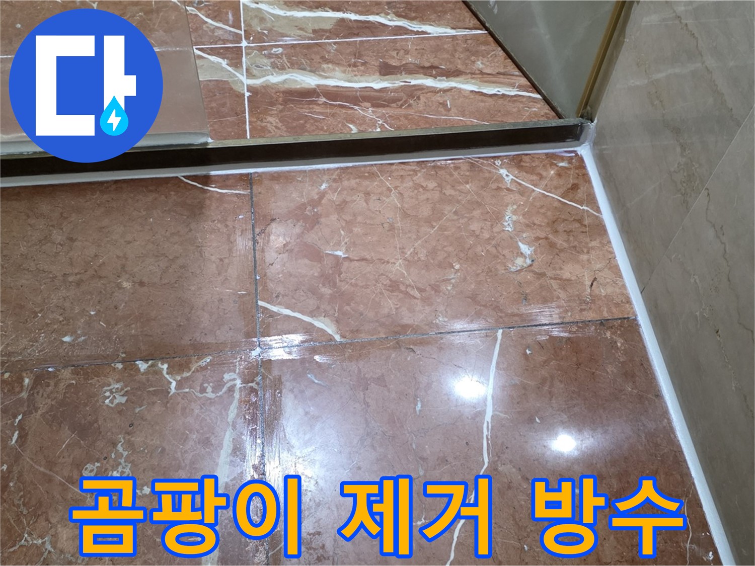 서초구 판테옹빌라 곰팡이 핀 욕실 누수 해결 및 곰팡이 제거
