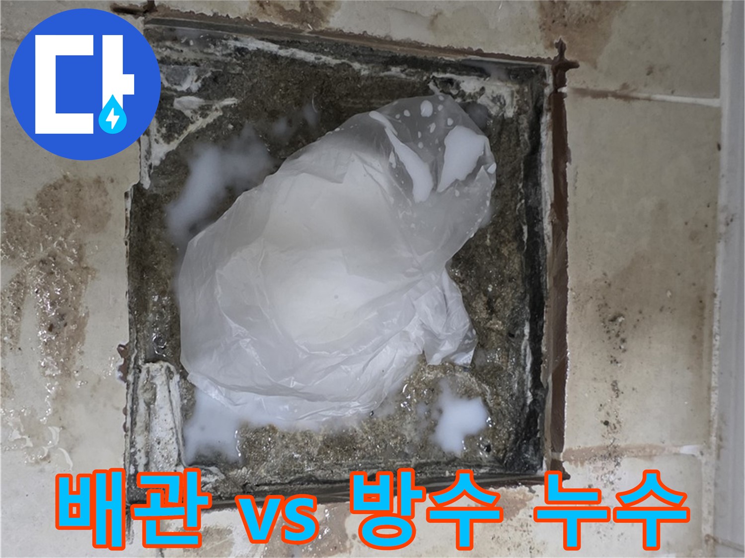 고양시 덕양구 백양동 욕실 바닥 누수 - 배관 문제 vs 방수 문제