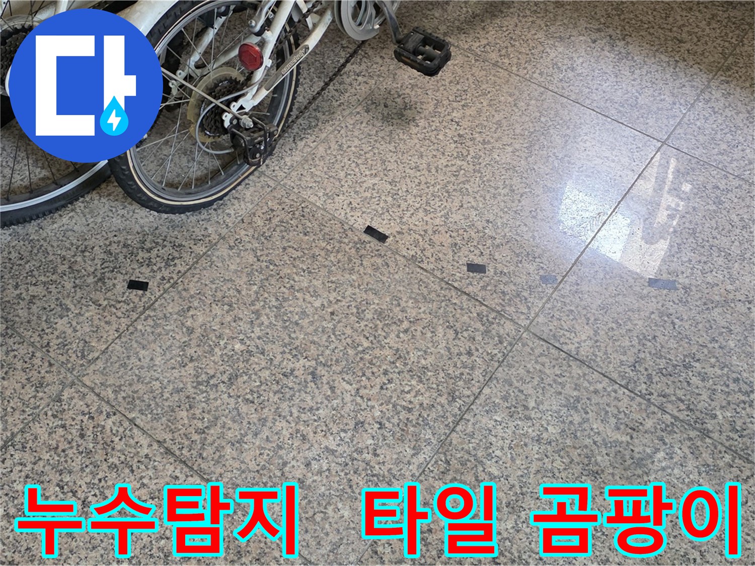 덕양구 누수 - 타일 바닥 곰팡이 문제, 누수탐지 전문