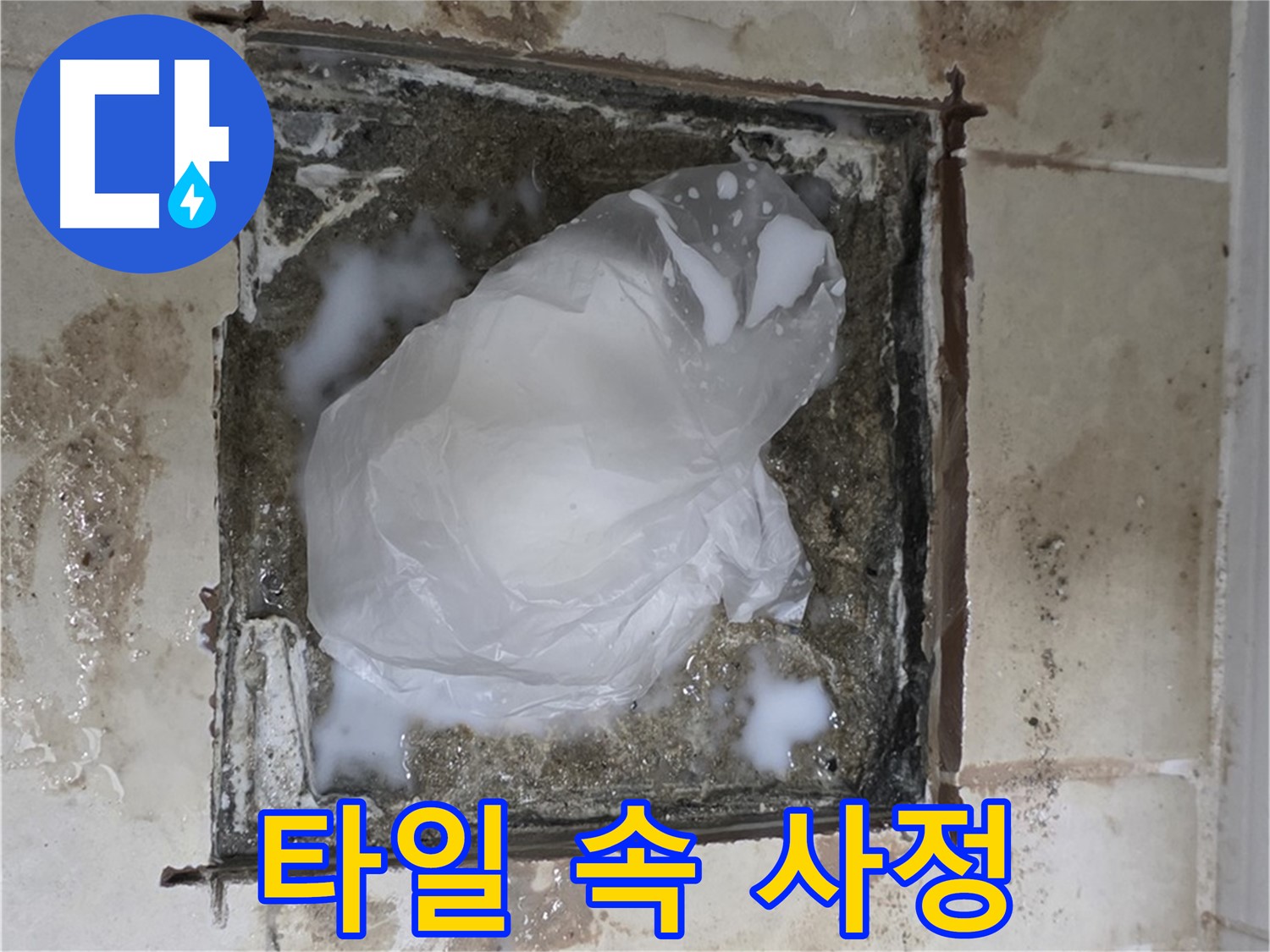 동산동 욕실 배수구 누수 - 겉으로는 멀쩡해 보이는 타일 속 숨겨진 누수