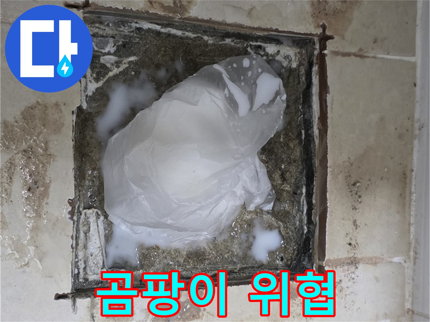 동산동 욕실 배수구 누수 - 곰팡이 가득한 배수구, 건강까지 위협