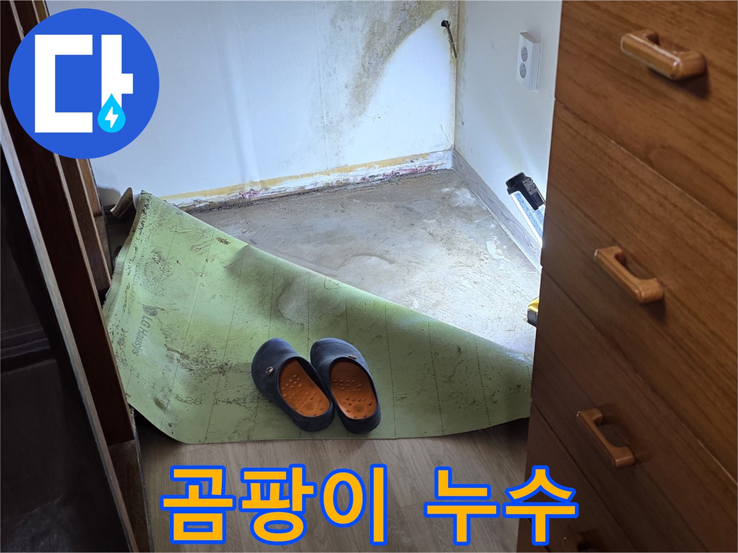 곰팡이가 핀 벽 - 누수 문제의 증거