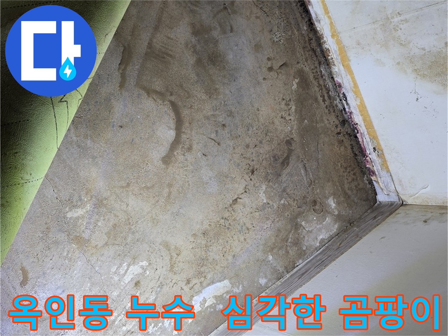 옥인동 누수 - 장판 제거 후 심각한 곰팡이 발견