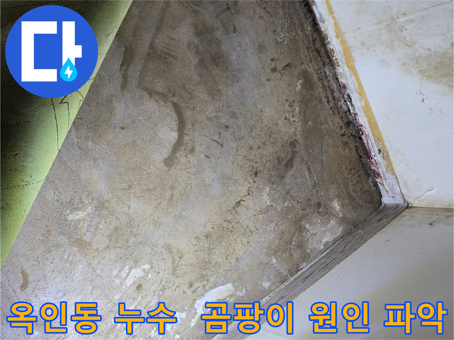 장판 밑 곰팡이 - 옥인동 곰팡이 원인 꼼꼼 파악