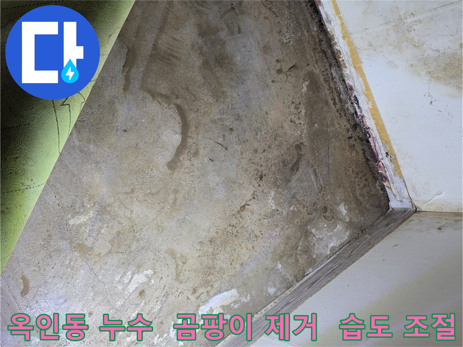 장판 밑 곰팡이 - 옥인동 곰팡이 제거 및 습도 조절