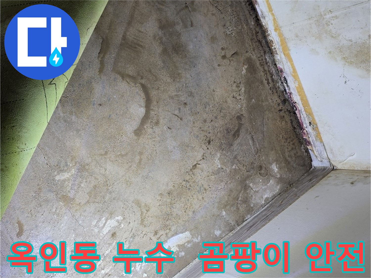 장판 밑 곰팡이 - 옥인동 안전 장비 착용