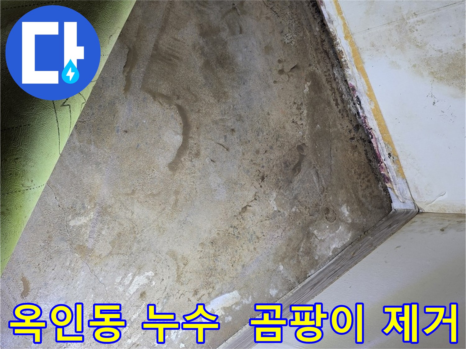 장판 밑 곰팡이 - 옥인동 장판 제거 작업 중