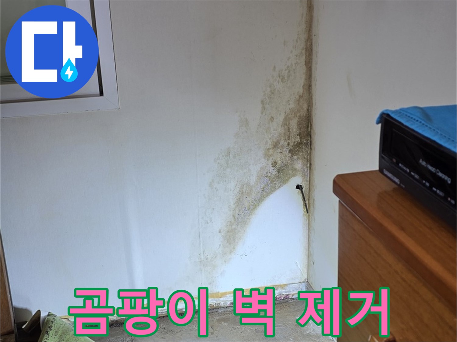 종로구 명륜동 곰팡이 벽 제거 - 전문 장비와 기술력으로 완벽하게 해결