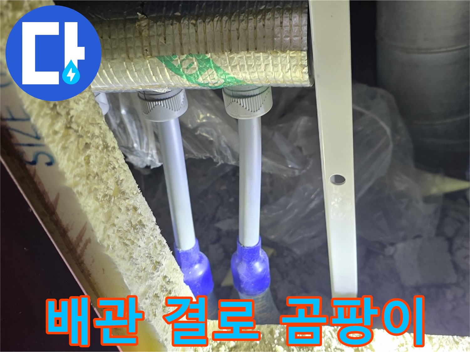 삼숭동 누수 방지 - 배관 주변 결로 발생 및 곰팡이 서식 환경 사전 진단 실시