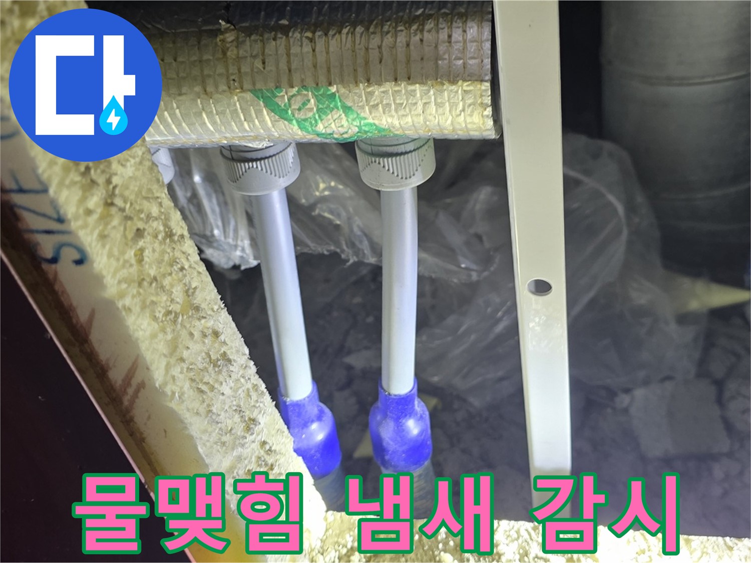 삼숭동 양주자이 누수 - 배관 연결 부속 주변 물맺힘 및 곰팡이 냄새 발생 여부 집중 감시