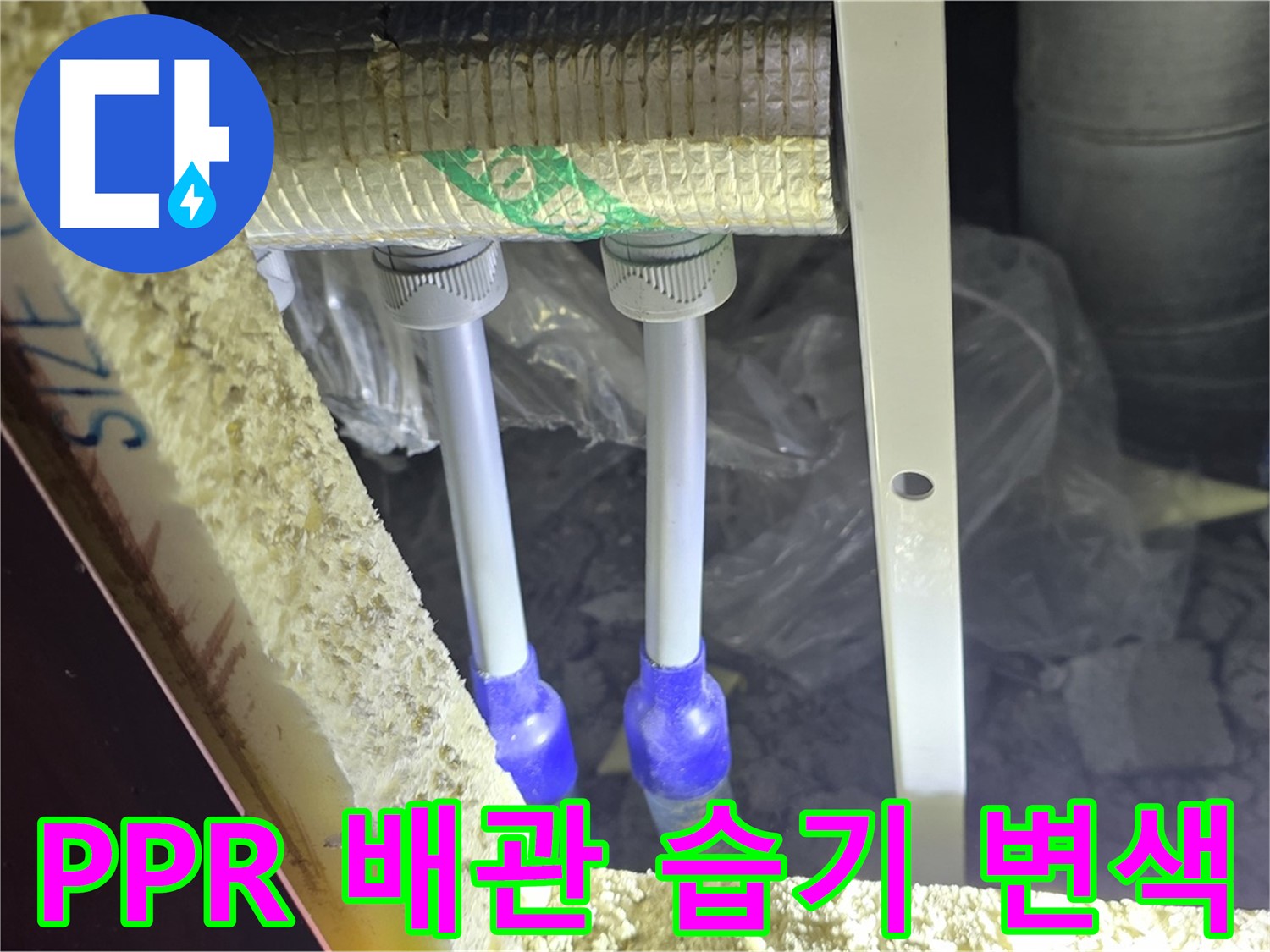 삼숭동 양주자이 아파트 누수 - PPR 배관 연결부 주변 습기 및 백시멘트 변색 확인
