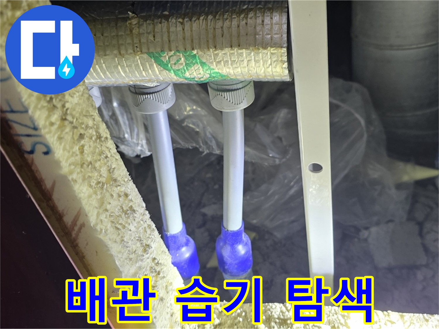 삼숭동 양주자이 아파트 누수 - 배관 연결 부속 주변 습기 및 누수 가능성 정밀 탐색