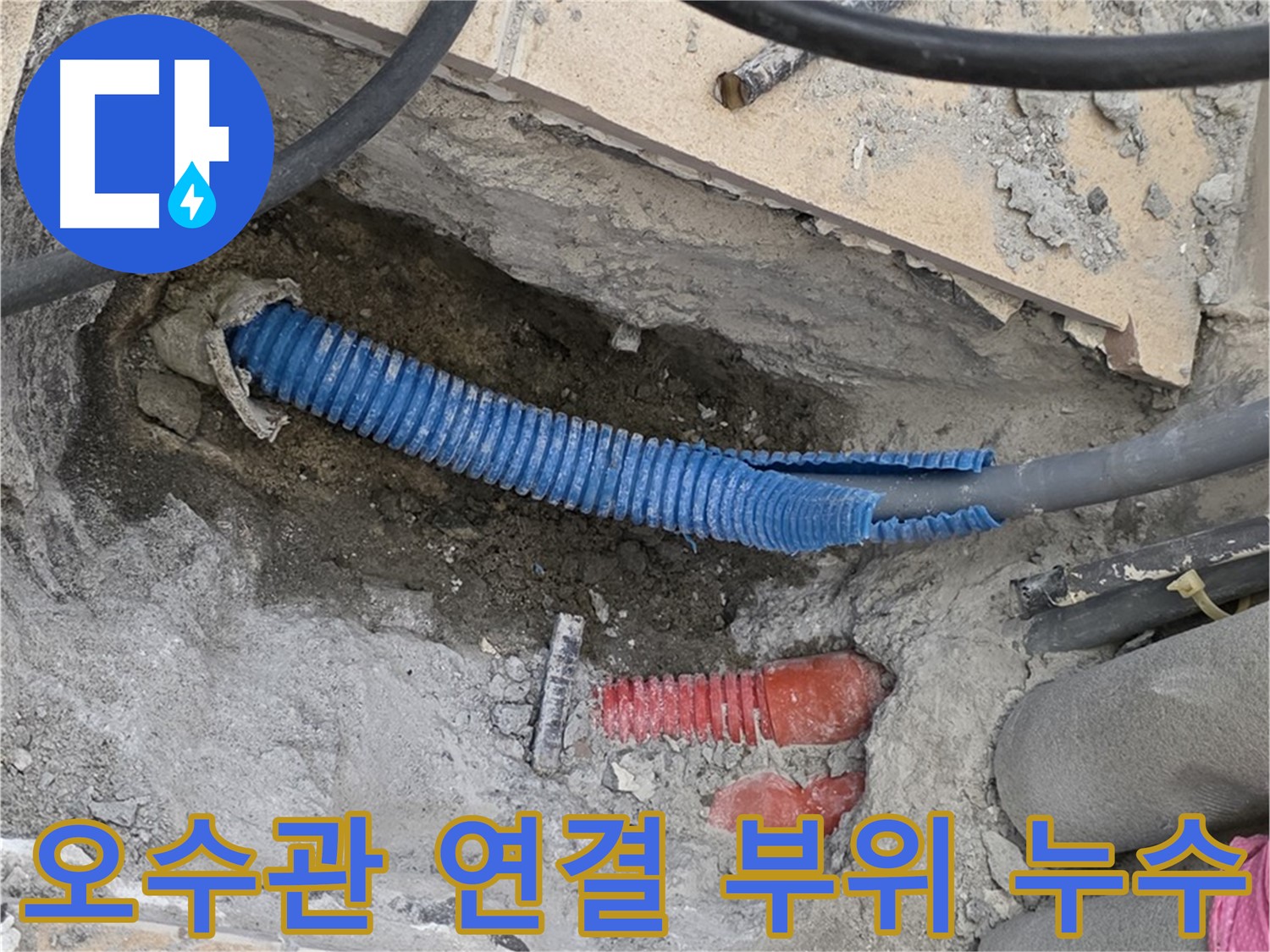삼숭동 양주자이아파트 누수 - 오수관 연결 부위 누수 흔적