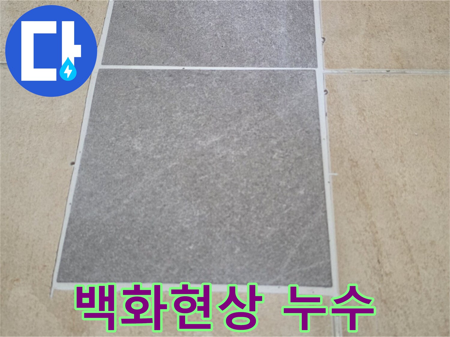 양주 삼숭동 아파트 - 교체된 타일 주변에 백화현상이 발생하여 누수 연관성을 확인하고 있습니다.