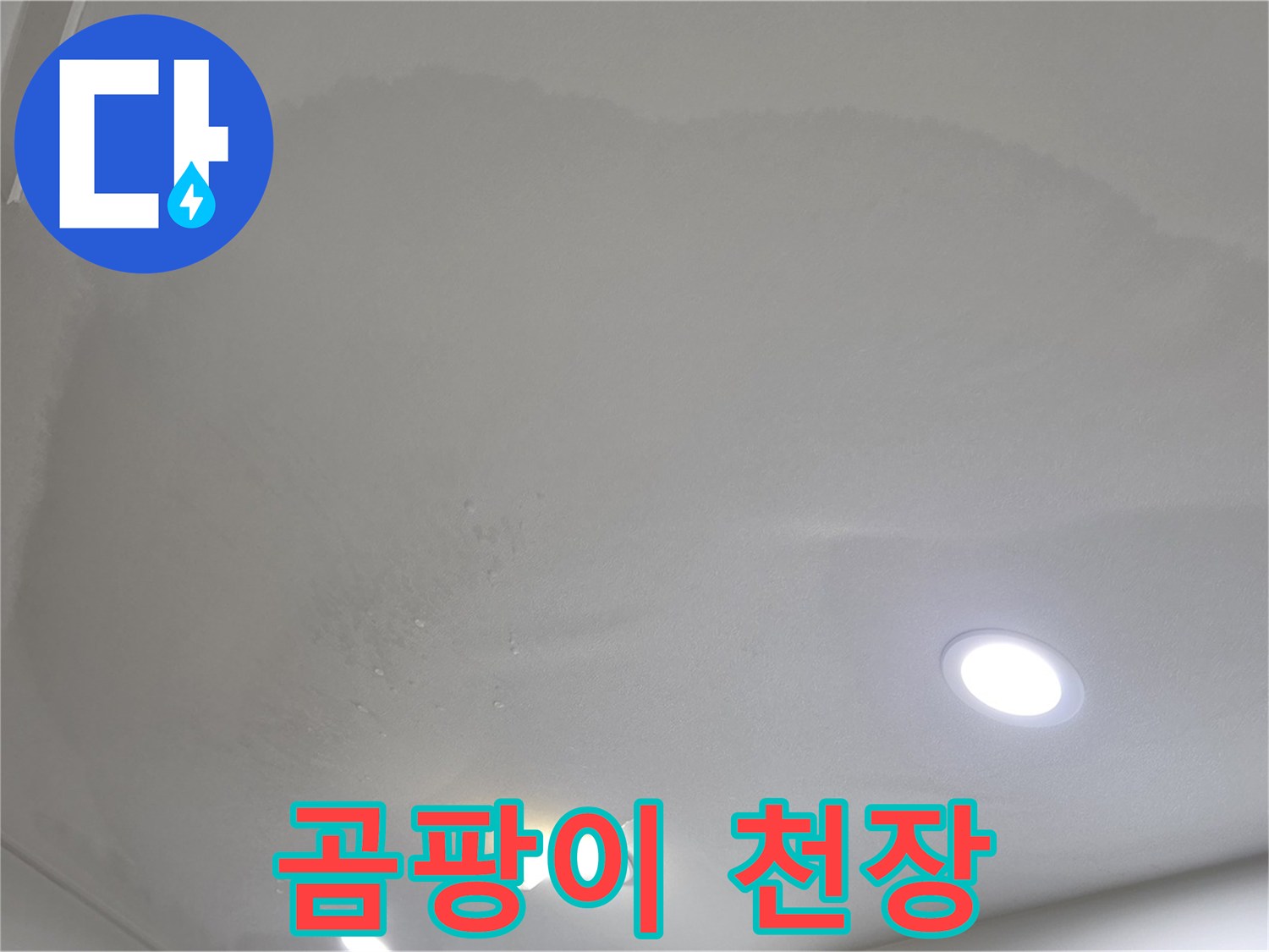 양주 삼숭동 자이 - 곰팡이 핀 천장, 건강 위협