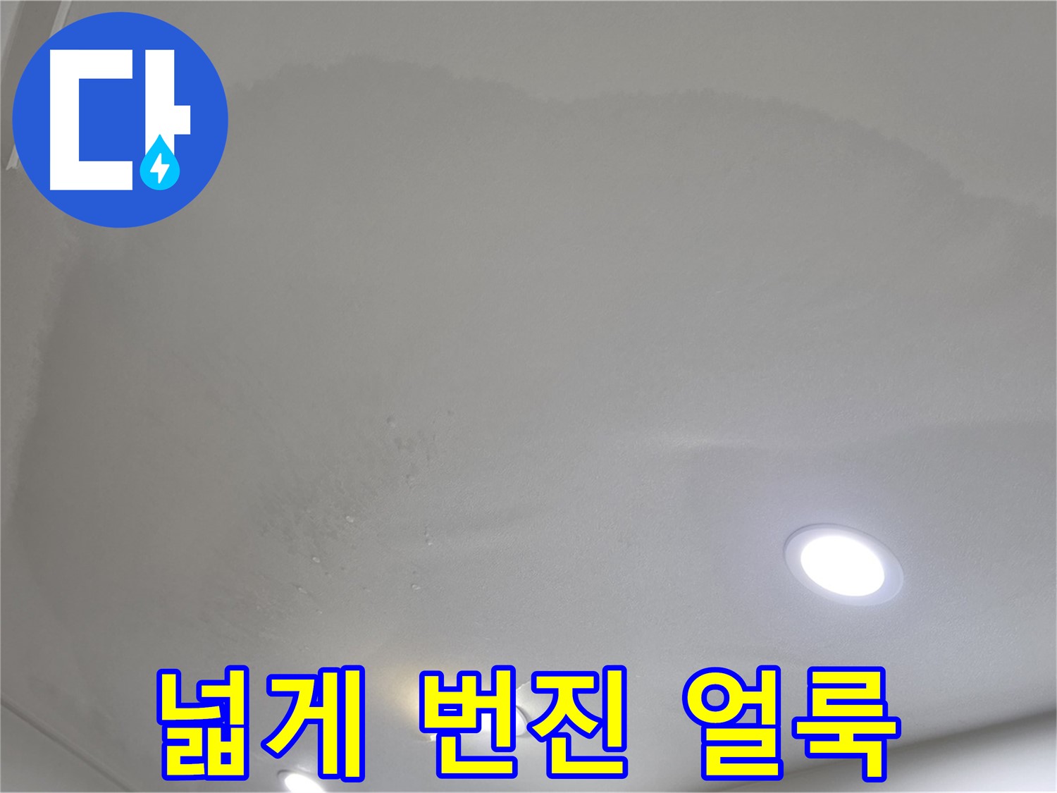 양주 삼숭동 자이 - 넓게 번진 천장 얼룩, 빠른 진단