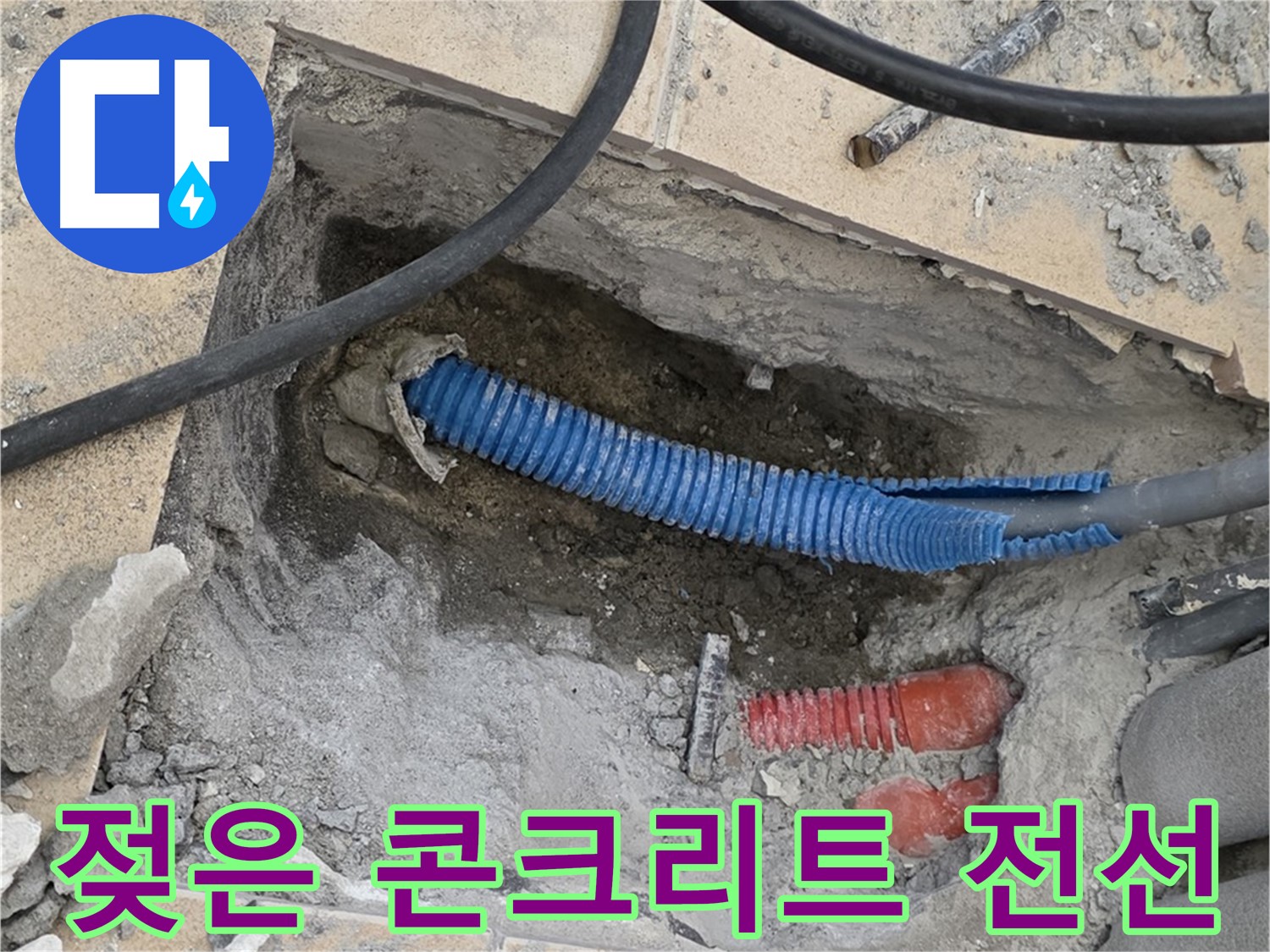 양주 삼숭동 자이아파트 누수 - 굴착 후 젖은 콘크리트와 꼬불거리는 파란 전선관 발견