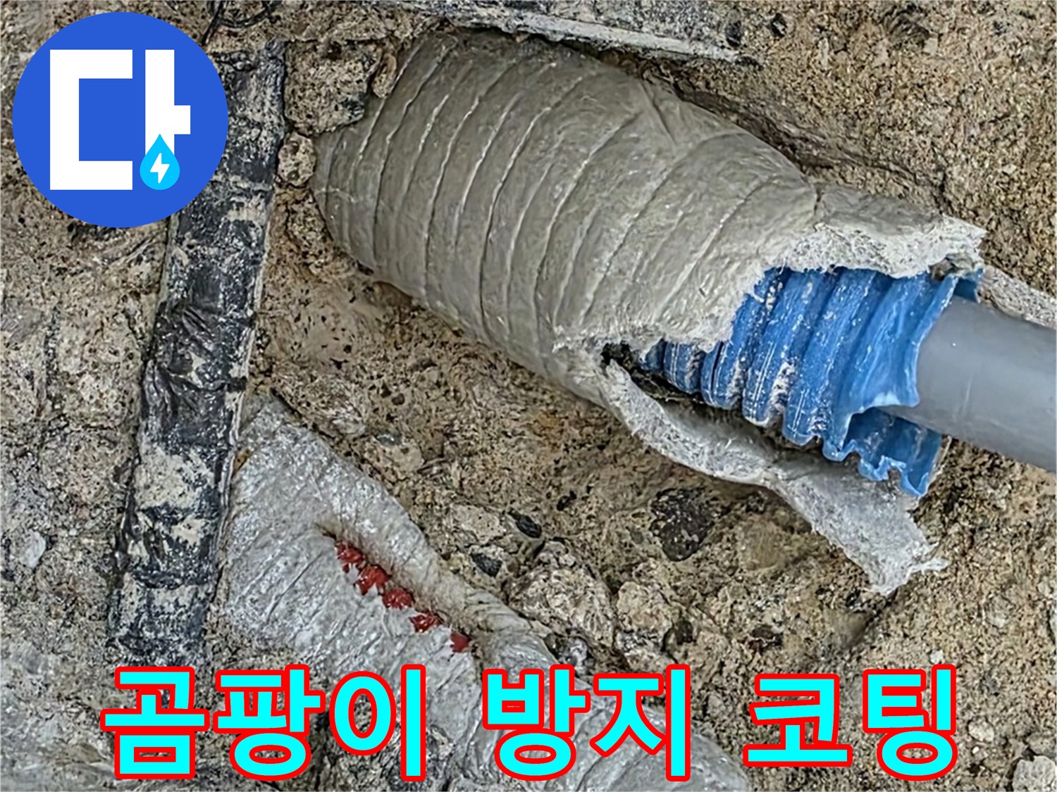 양주 삼숭동 자이아파트 누수 - 누수 해결 후, 곰팡이 걱정 싹! 방지 코팅까지 완벽하게!