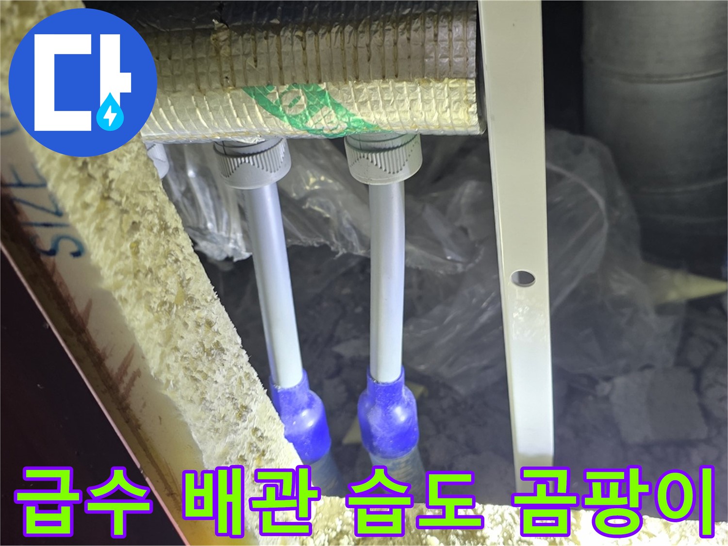 양주 자이 아파트 누수 - 급수 배관 연결 부위 주변 습도 측정 및 곰팡이 발생 여부 진단
