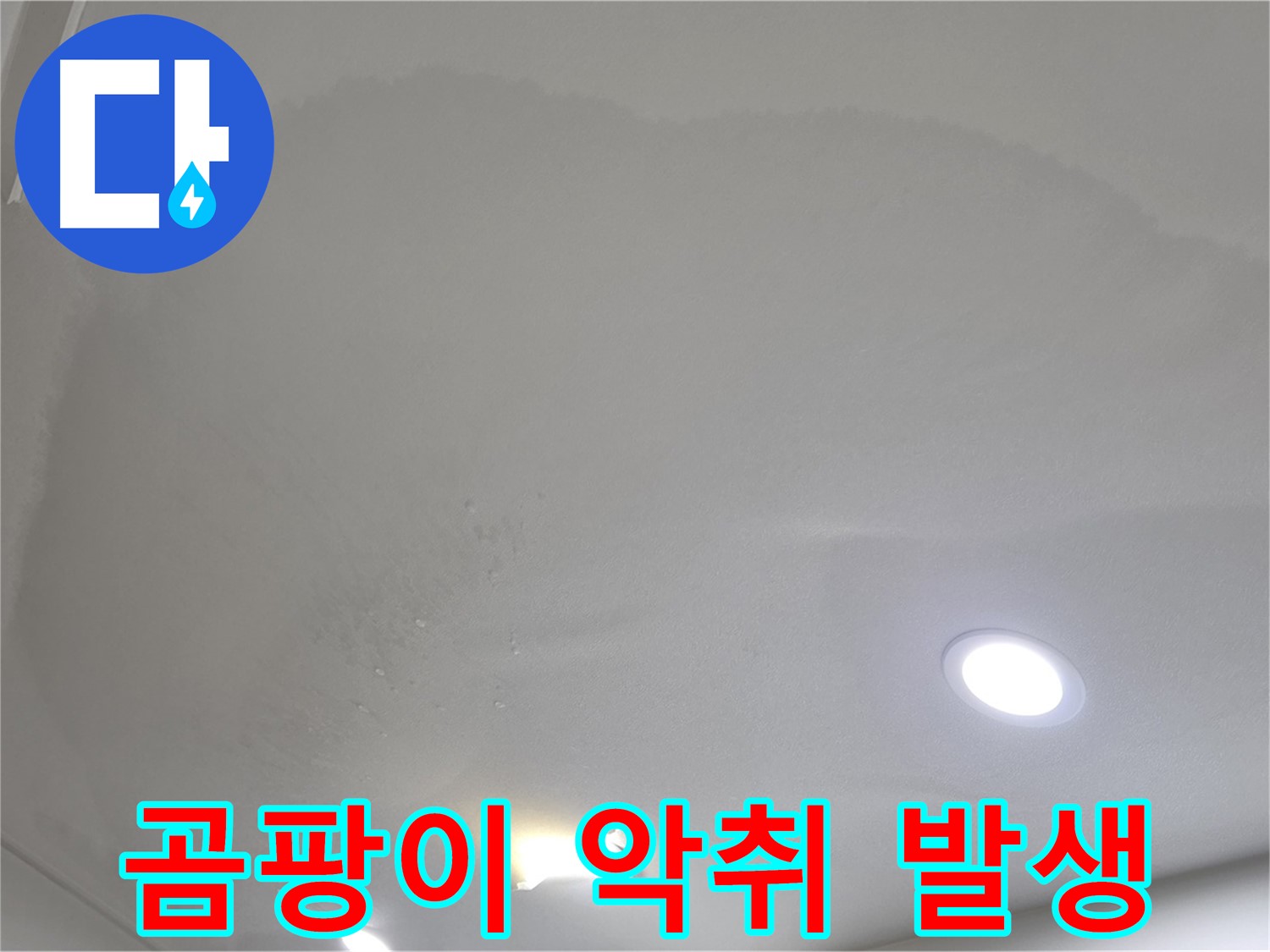 양주시 삼숭동 누수 - 둥근 얼룩 천장 - 곰팡이 악취