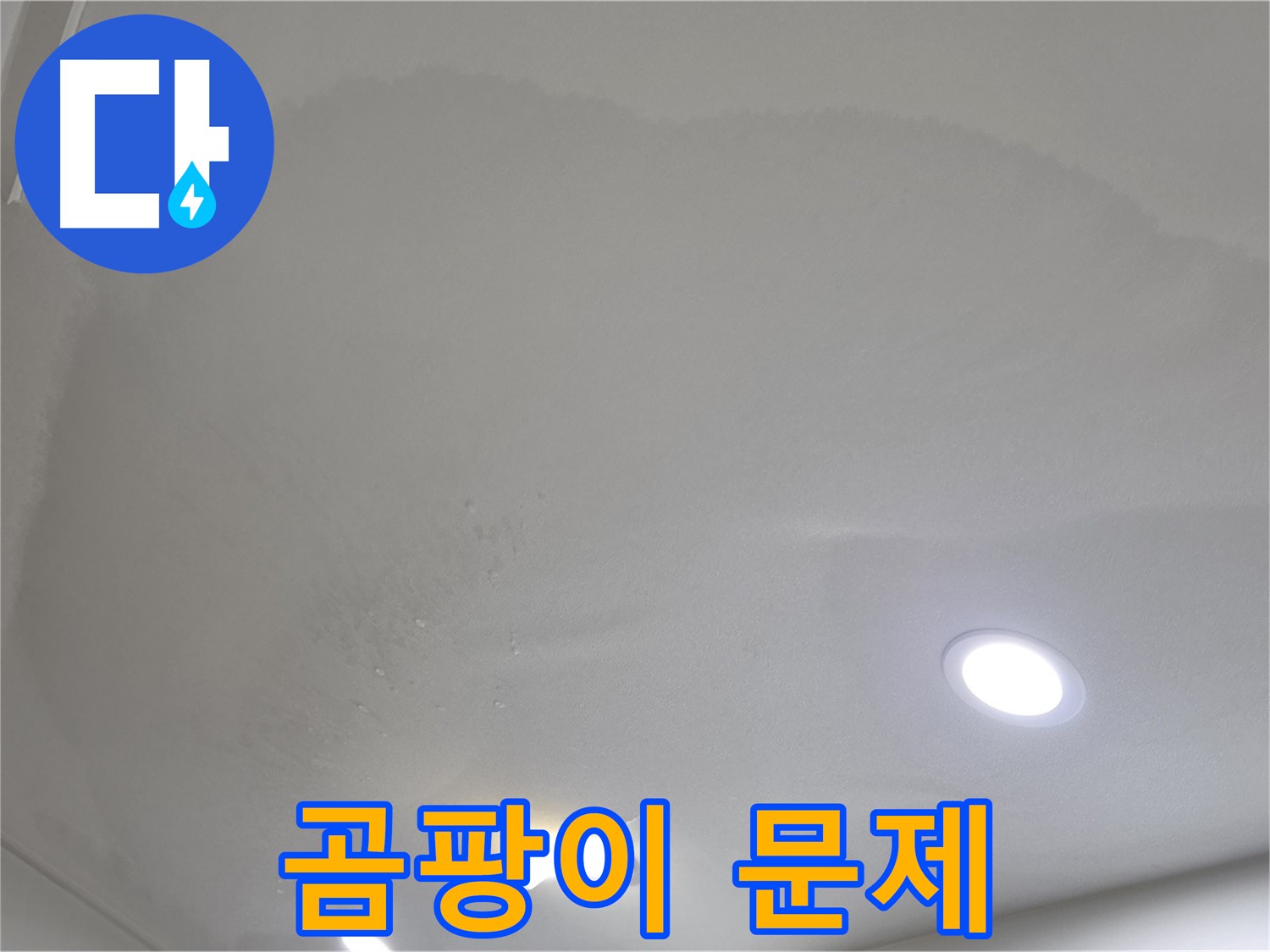 양주시 삼숭동 누수 - 천장 얼룩 - 곰팡이