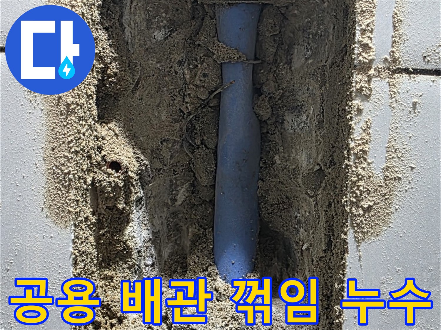 분당 쇳골 누수 - 공용 배관 꺾임으로 누수 발생