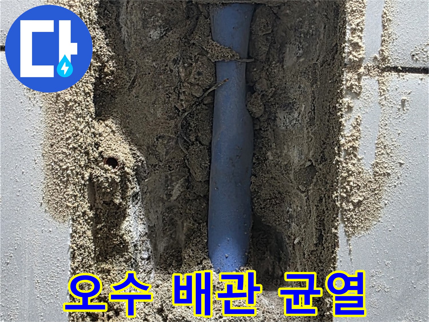분당 쇳골로 누수 - 노후 오수 배관의 균열