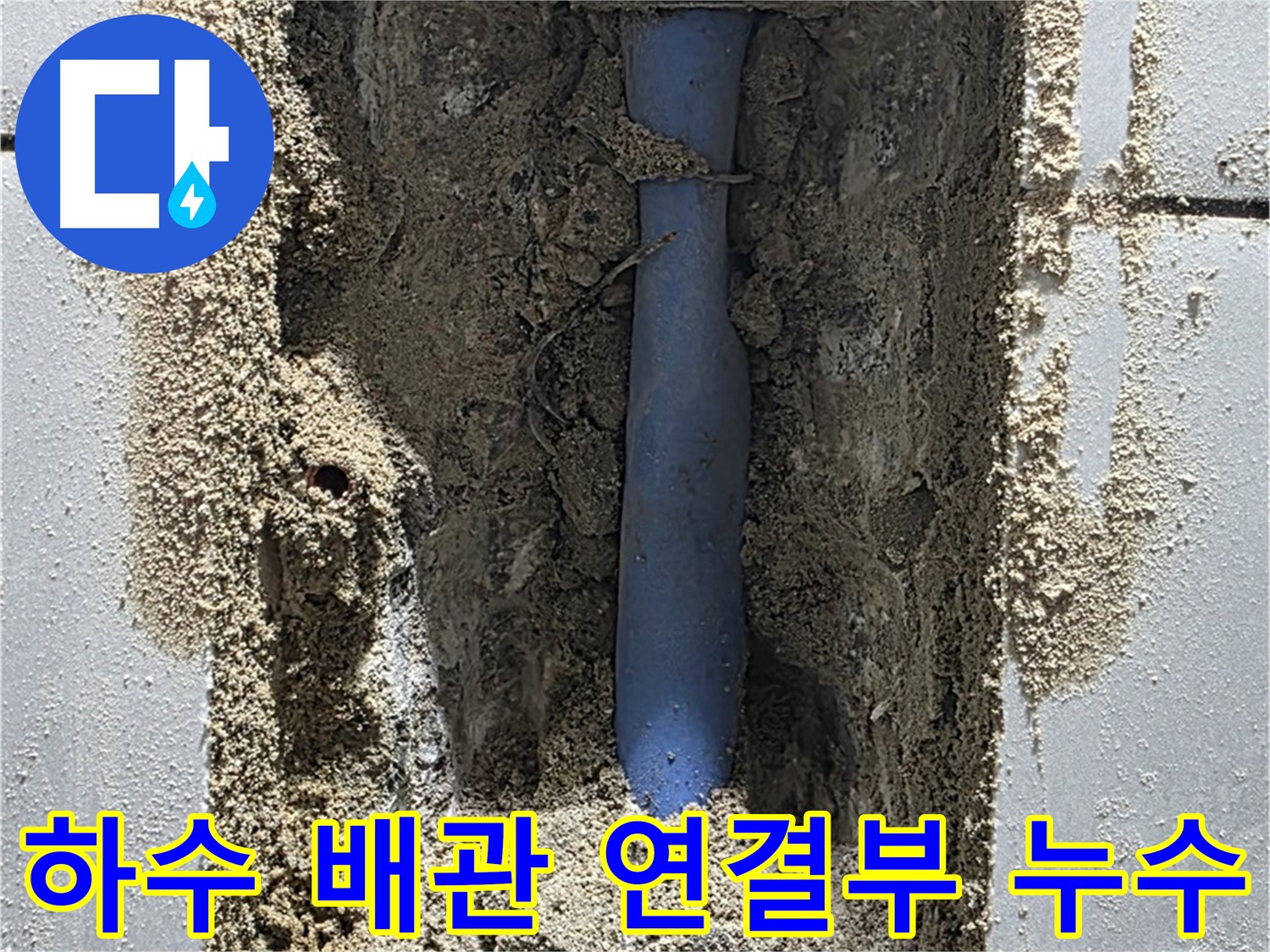 성남시 분당구 쇳골 누수 - 낡은 하수 배관 연결 부위에서 누수 발생