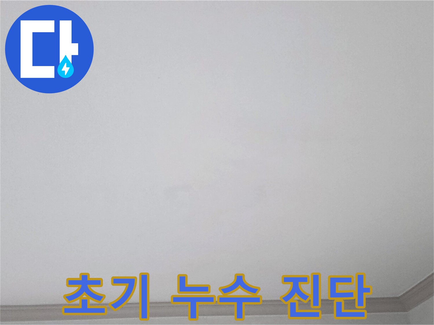 논현동 논현주공1단지 아파트 천장 - 초기 누수 원인 진단을 위한 꼼꼼한 검사
