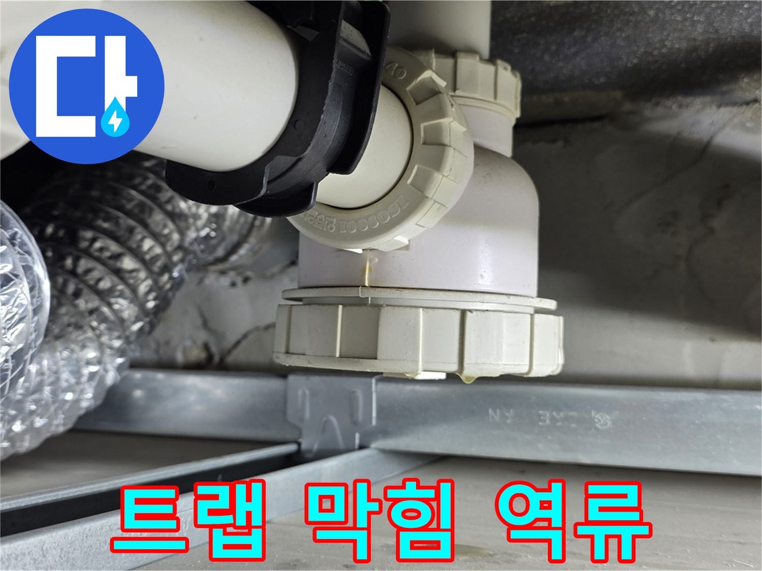 옥정동 율정마을 누수 - 세탁기 하수구 배수 트랩 막힘으로 인한 역류 및 누수