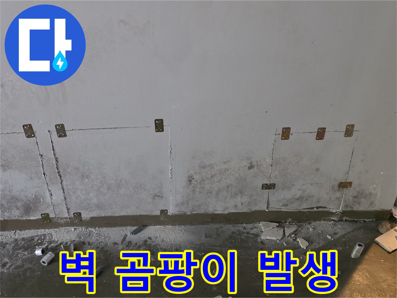벽 곰팡이 - 누수로 인한 곰팡이 발생 및 제거