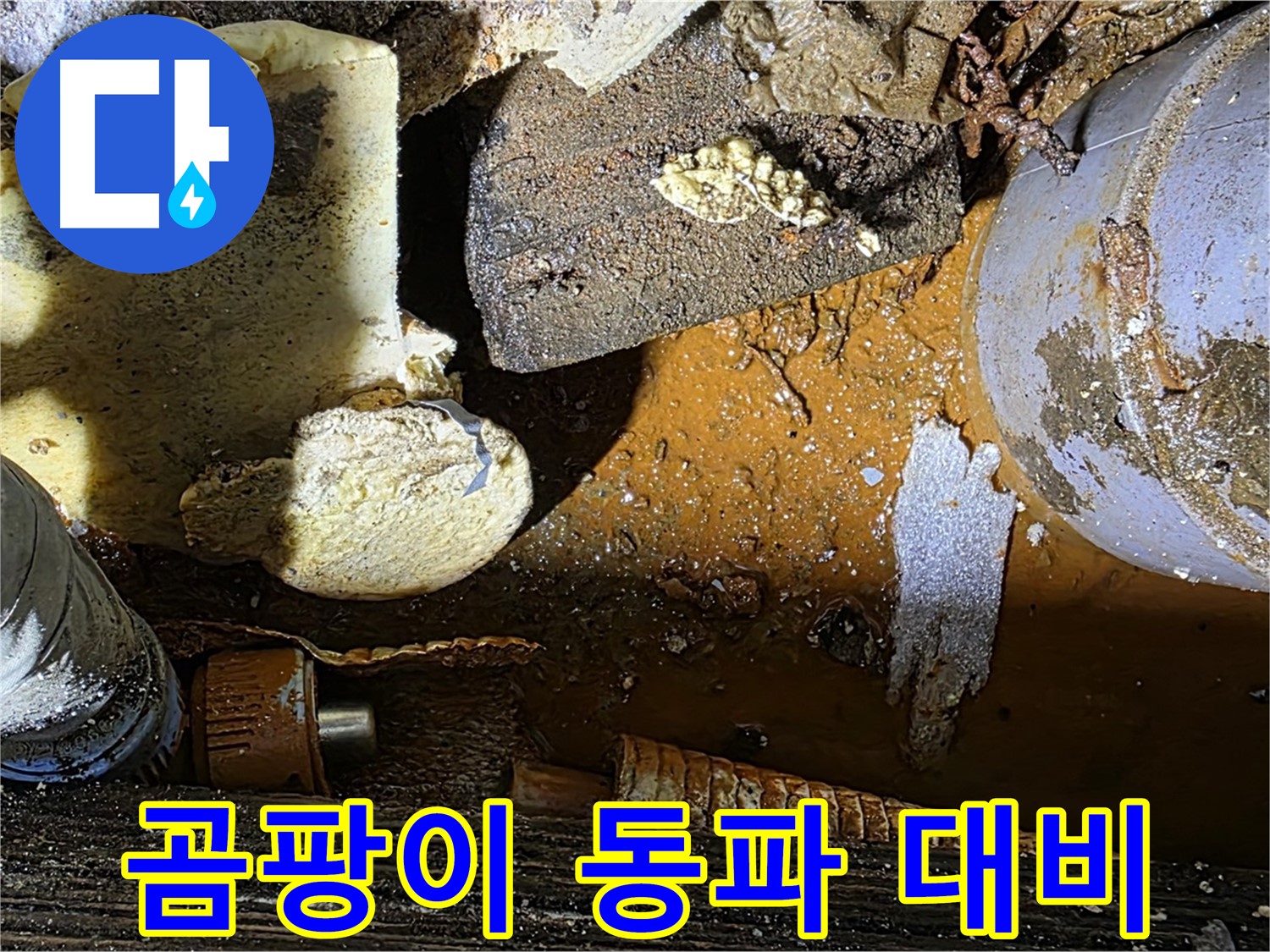 원삼 누수 현장 - 배관 부식과 곰팡이 핀 보온재 - 겨울철 누수 대비가 필수입니다.