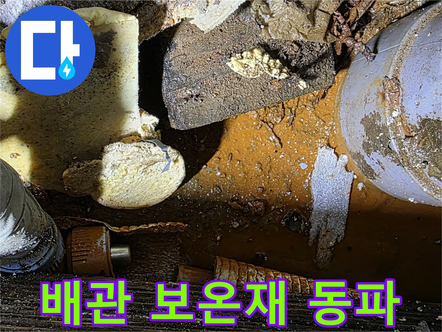 원삼 누수 현장 - 배관 부식과 보온재 문제 - 겨울철 동파 대비가 필수입니다.
