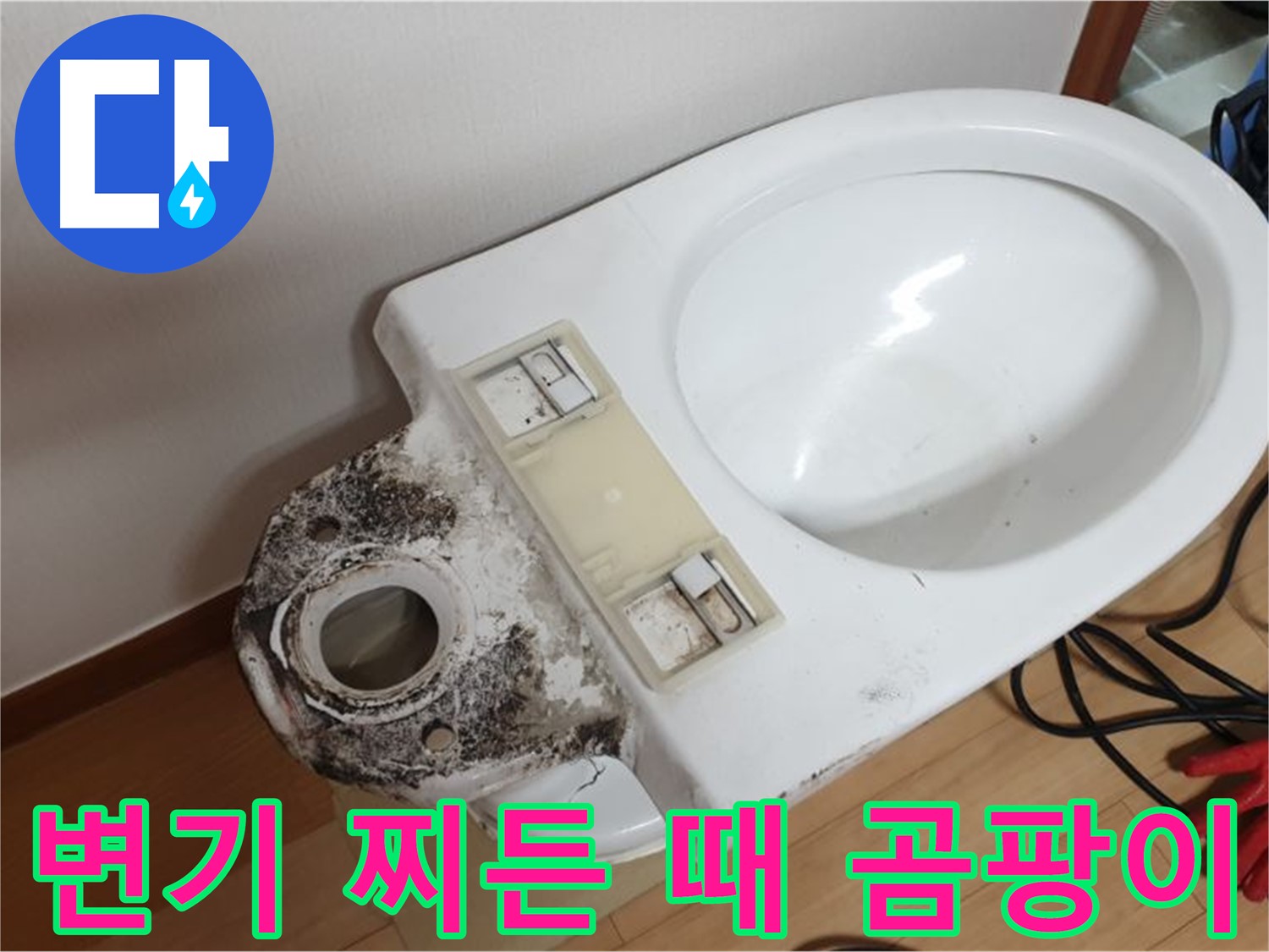 변기 오염 - 찌든 때와 곰팡이 완벽 제거 후 살균 소독