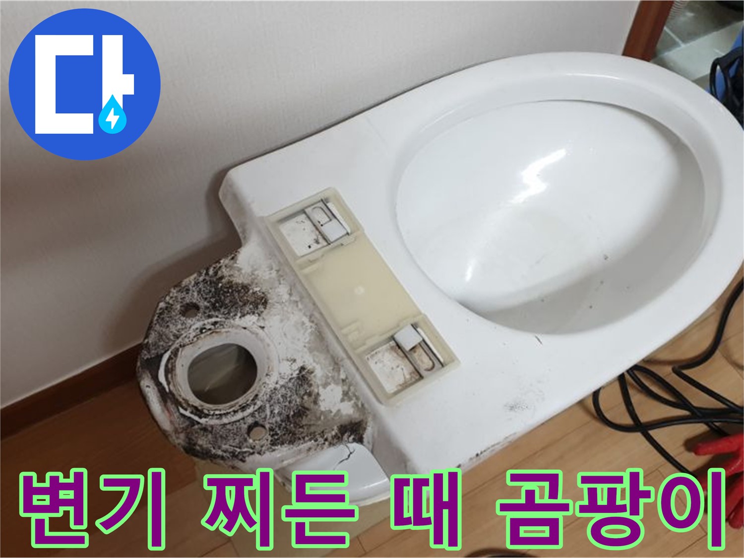변기 오염 - 찌든 때와 곰팡이 완벽 제거 후 살균 소독