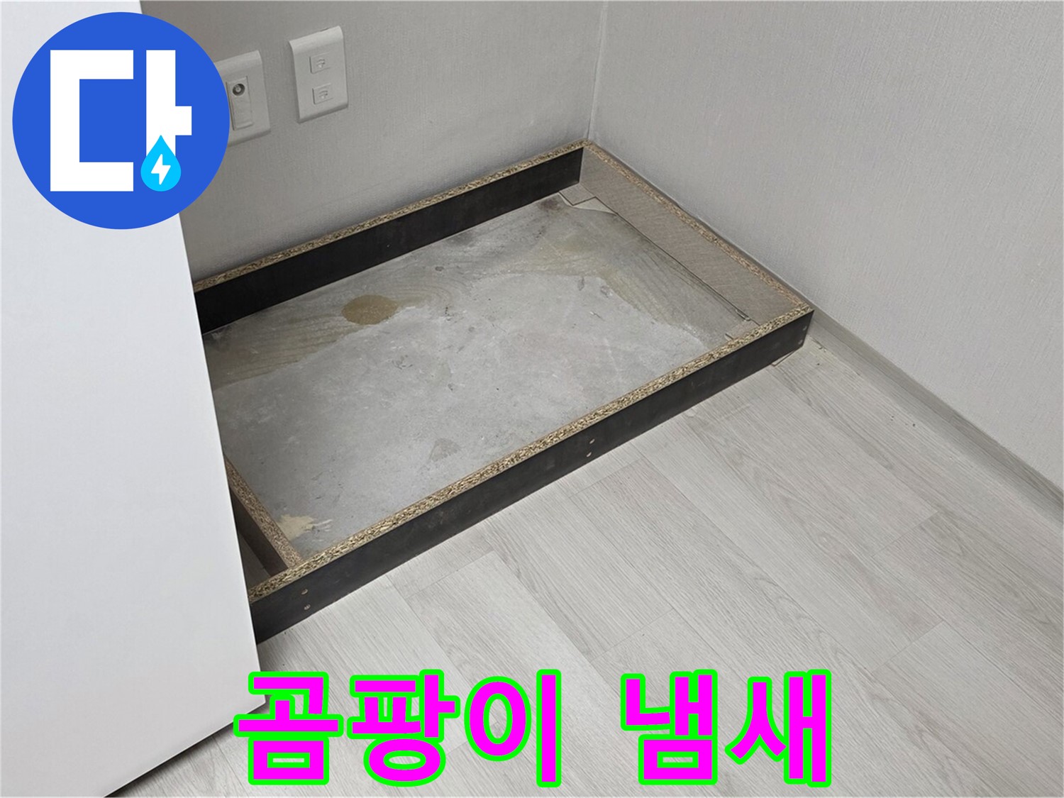 곰팡이 냄새 - 건강 위협