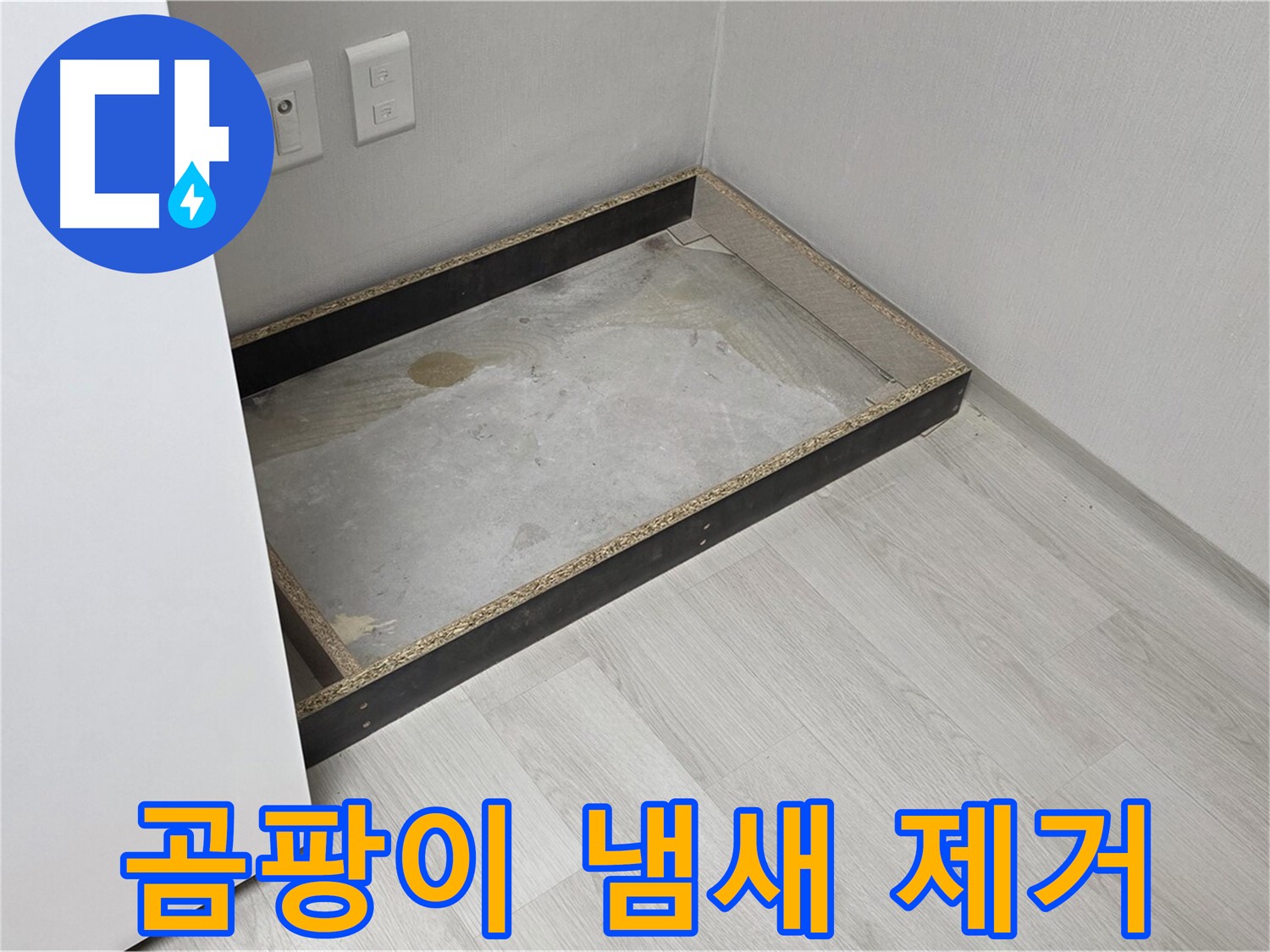 곰팡이 냄새 제거 - 쾌적한 환경